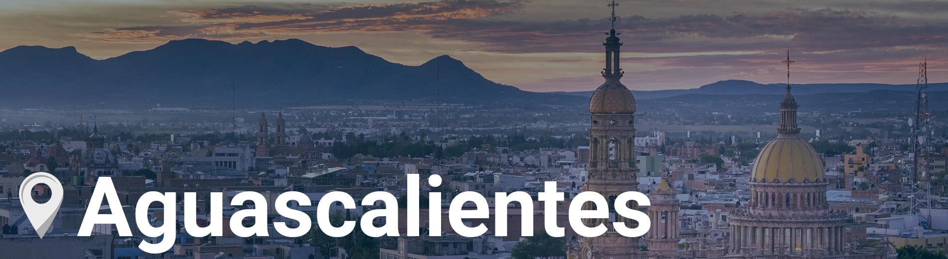 Boletos de autobús a aguascalientes etn turistar lujo