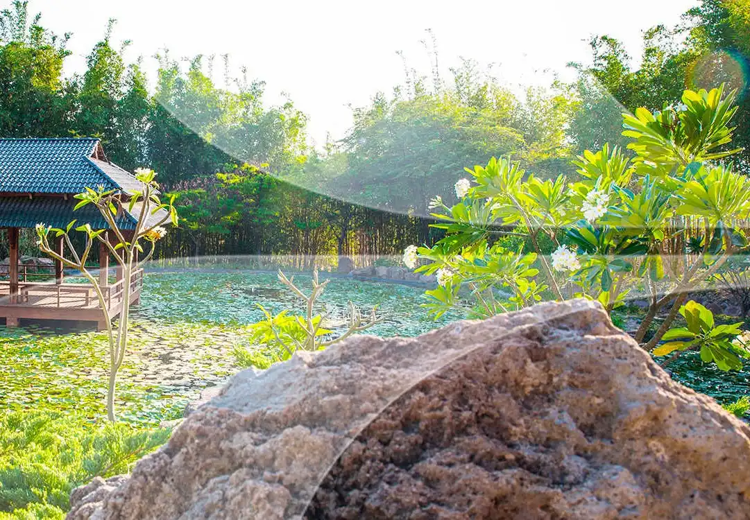 Boleto de autobús a Cuernavaca