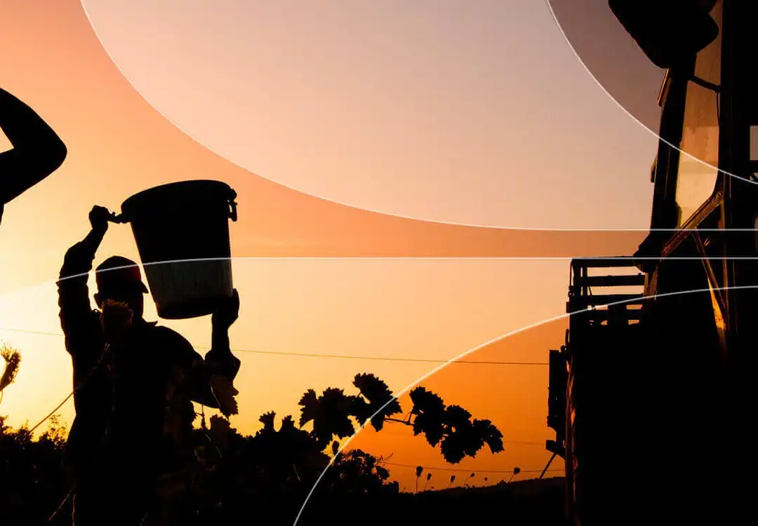 Boleto de autobús a Aguascalientes