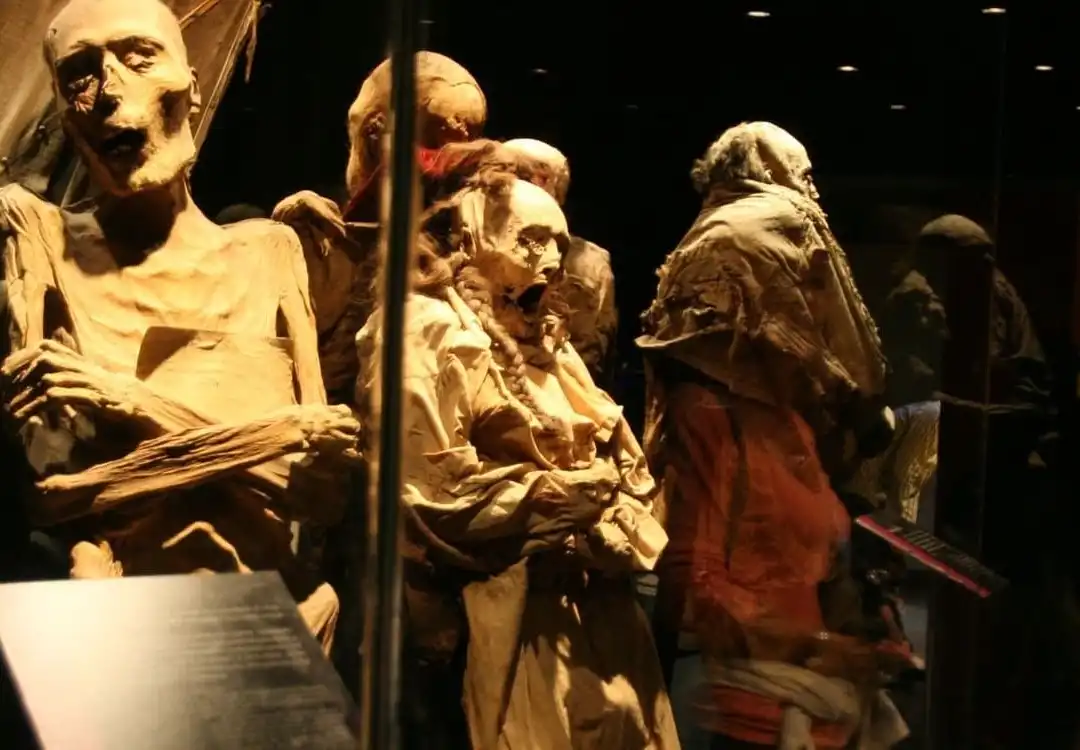 Boleto de autobús a Guanajuato