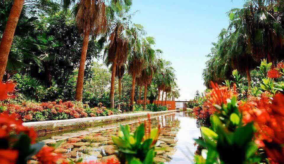 Boletos de Autobús a Culiacán  Jardines Botanicos México Culiacán