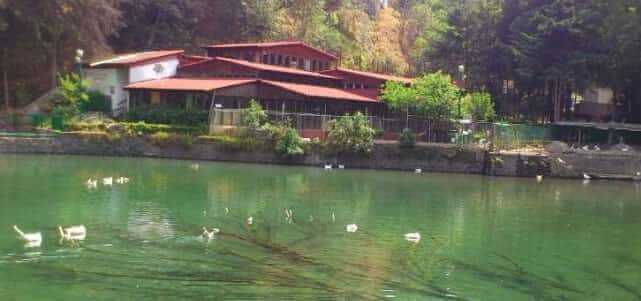  VISITA EL PARQUE NACIONAL FUENTES BROTANTES