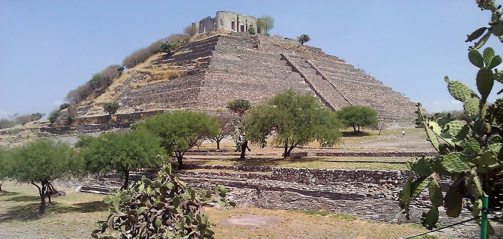 Afiliate a viaja más nuestro programa de lealtad de ETN Turistar Lujo