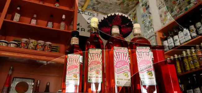 DISFRUTA DEL MOSCO EN TOLUCA